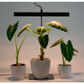 Parlux Smart Grow Lamp